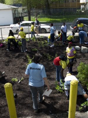 birds-eye-view of people hard at work planting native plants