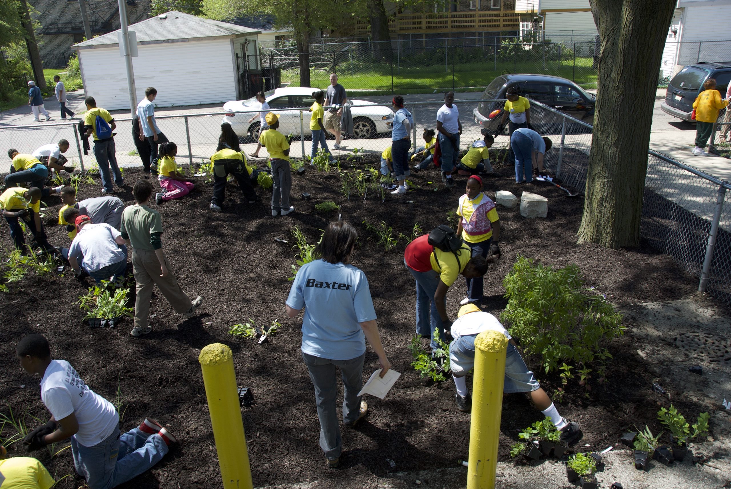 birds-eye-view of people hard at work planting native plants